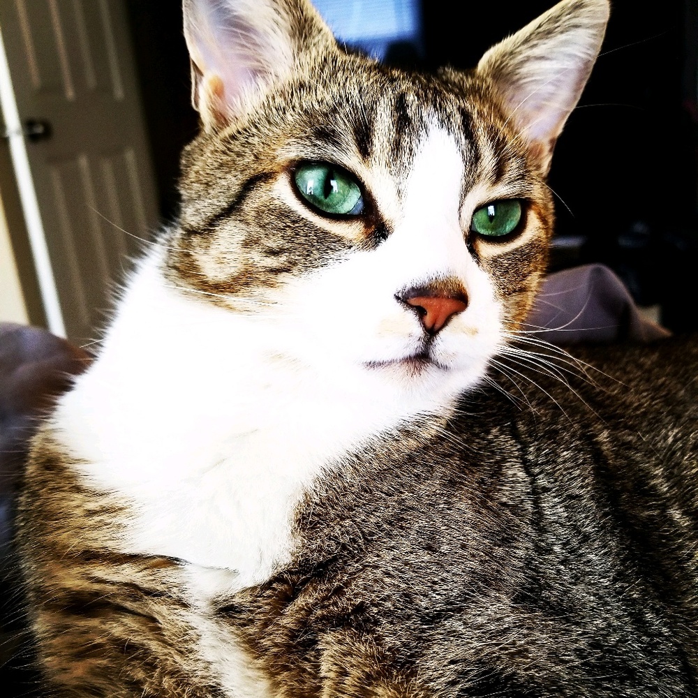 Meet your Posher, Caitlin